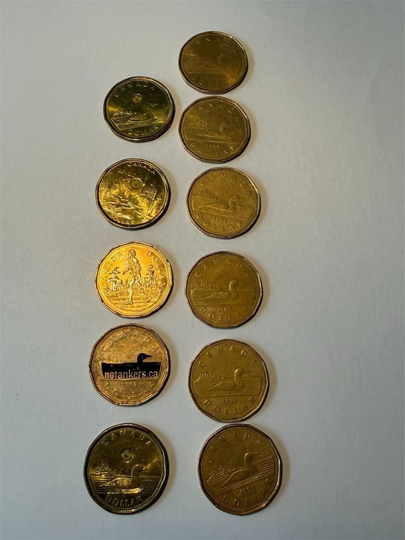 Canada Loonie $1 One Dollar Coins NOTANKER Lot 11 (1 of 2)