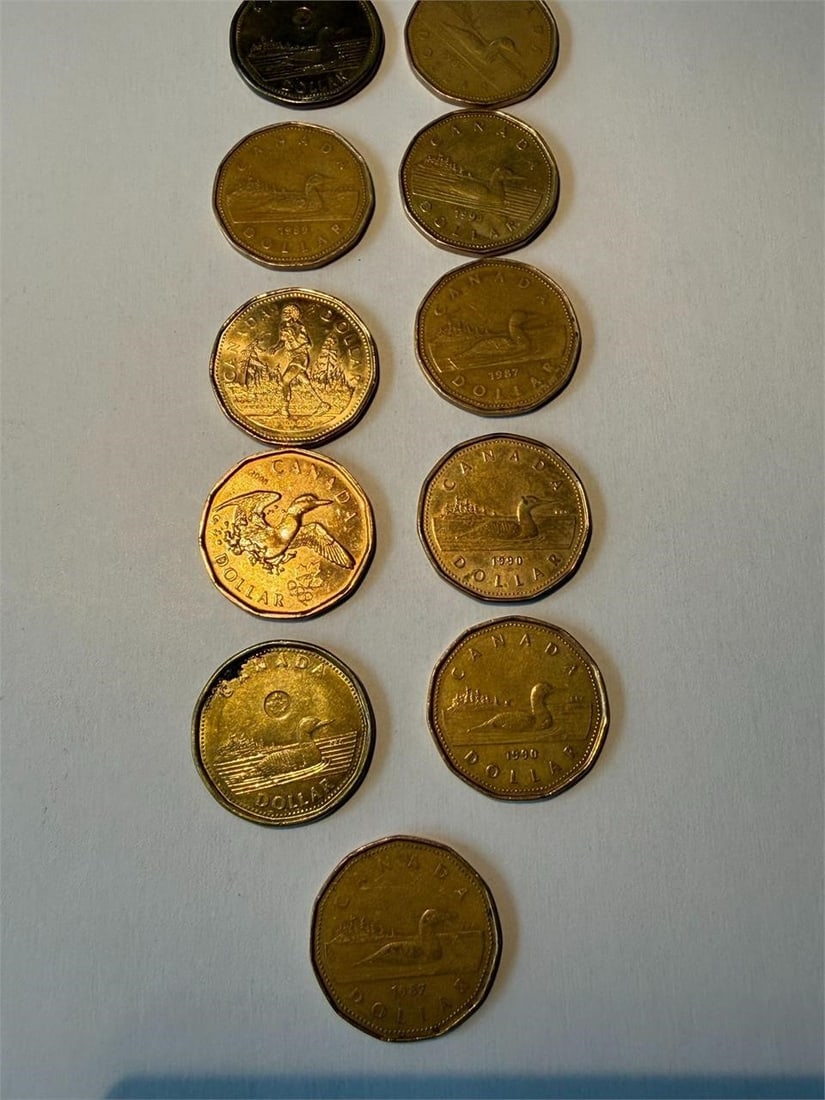 Canada Loonie $1 One Dollar Coins Lot of 11 (1 of 2)