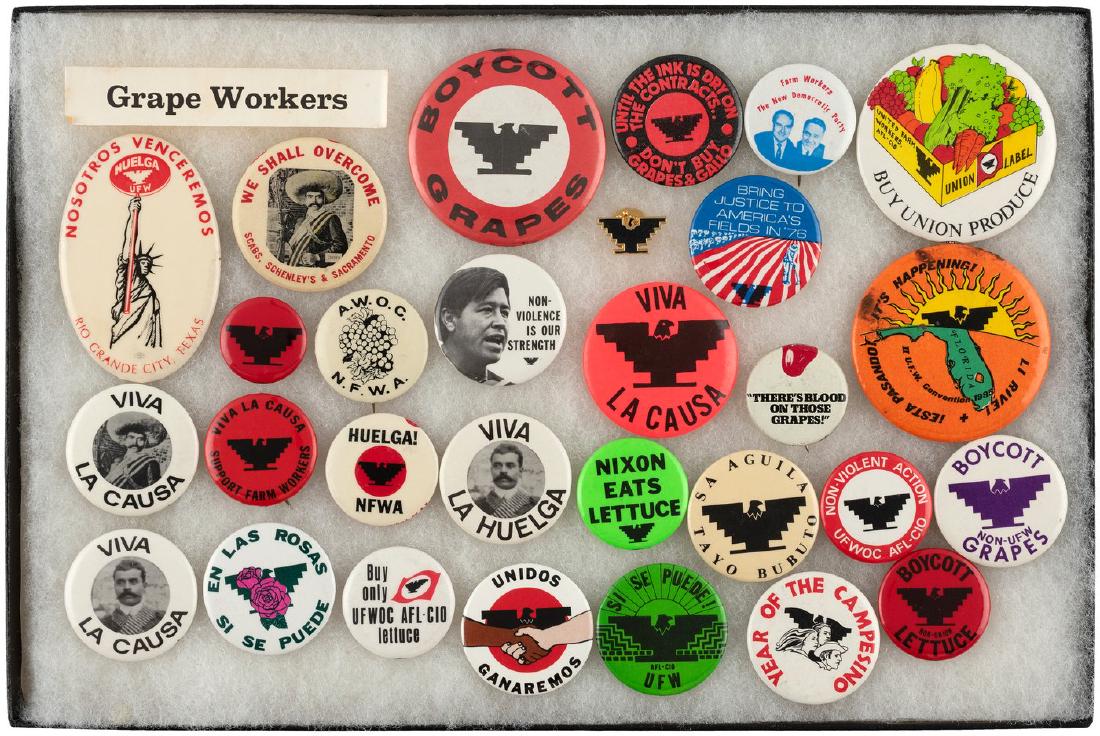 FARM WORKERS 29 BUTTONS- THE LIFETIME COLLECTION OF TED (1 of 1)