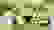item-81893148=2