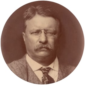 ROOSEVELT RARE 1912 PROGRESSIVE 3.5" REAL PHOTO BUTTON.