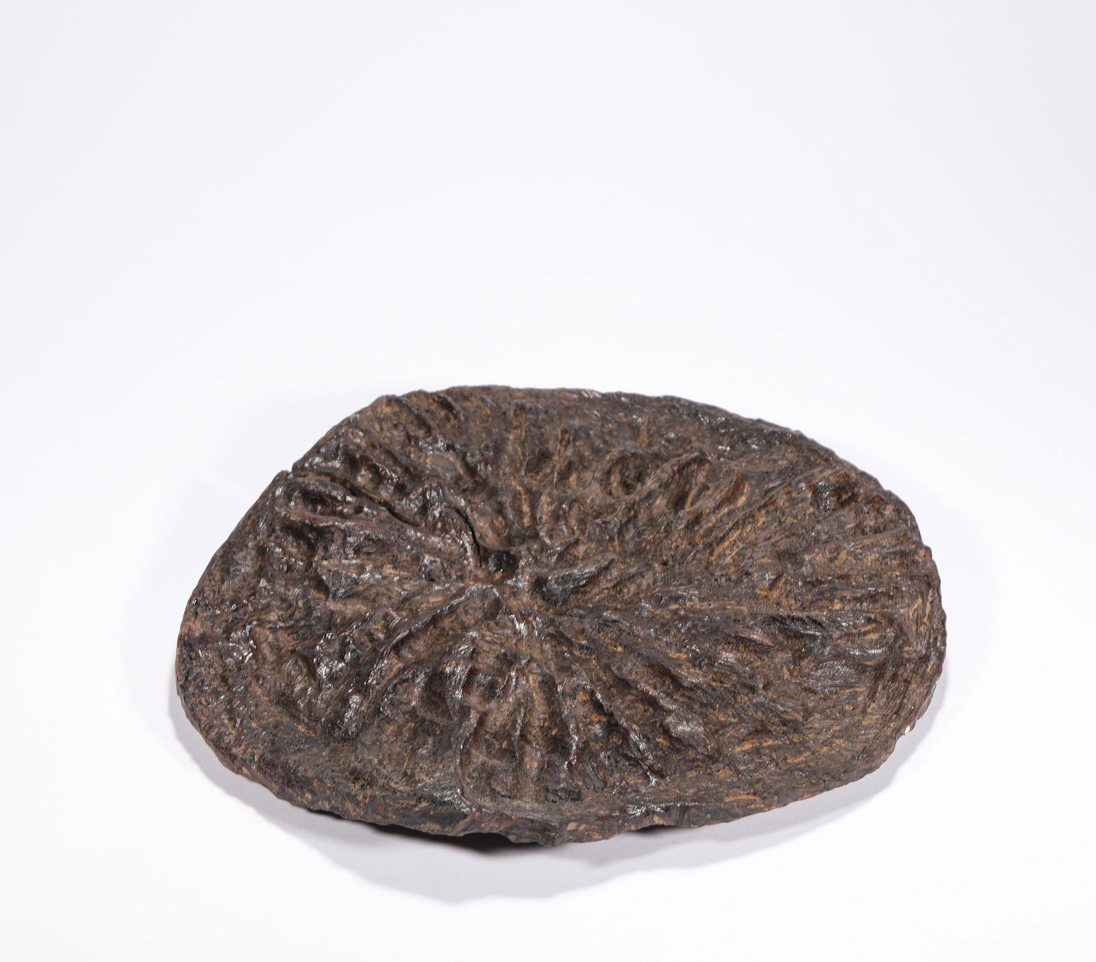 Qing Dynasty Qi Nan agarwood (1 of 7)