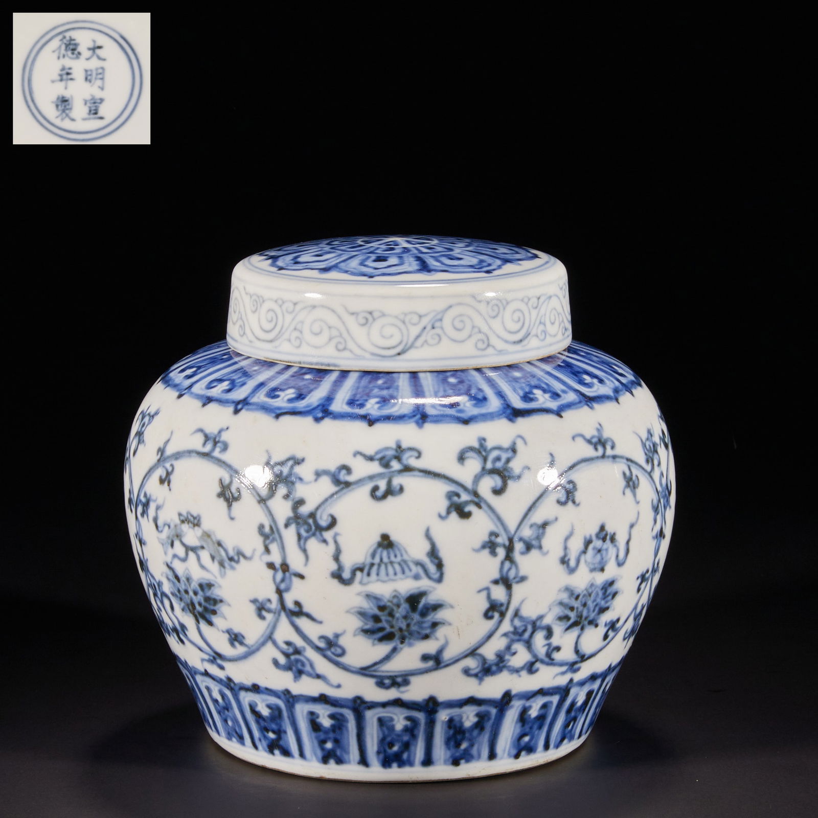 Ming Dynasty Blue and White Floral Jar (1 of 12)