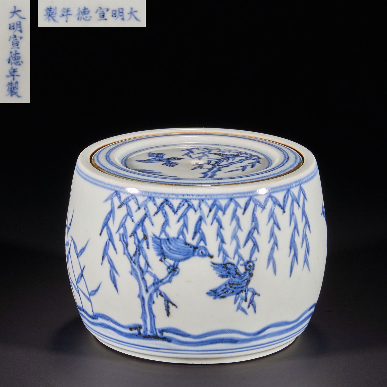 Ming Dynasty Blue and White Cricket Jar with Fish and Grass Design (1 of 14)