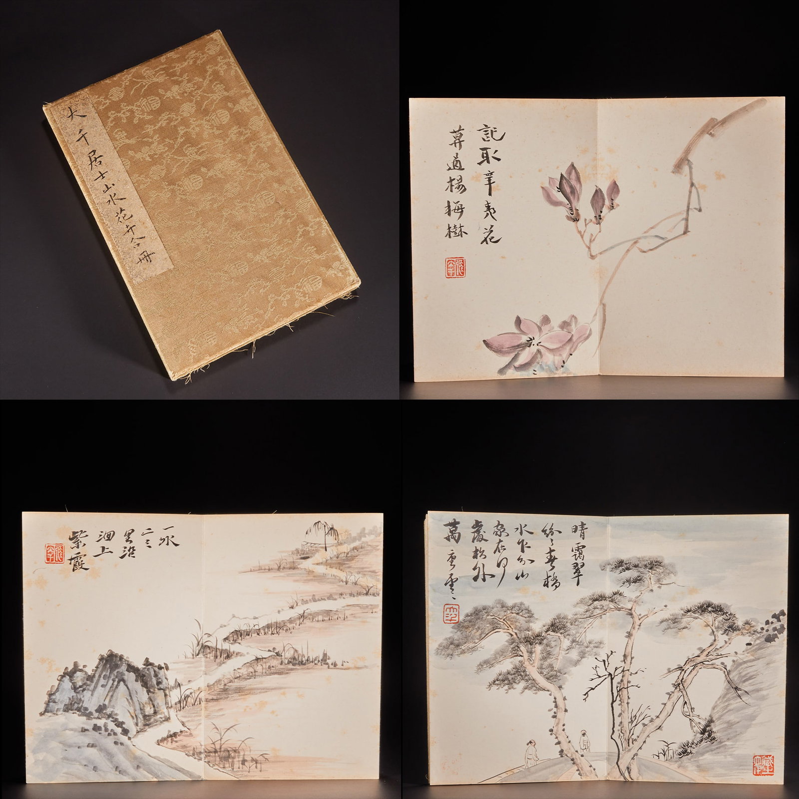 Chinese ink painting, Zhang Daqian's album of landscapes and flowers: 99Chinese ink painting, Zhang Daqian's album of landscapes and flowers