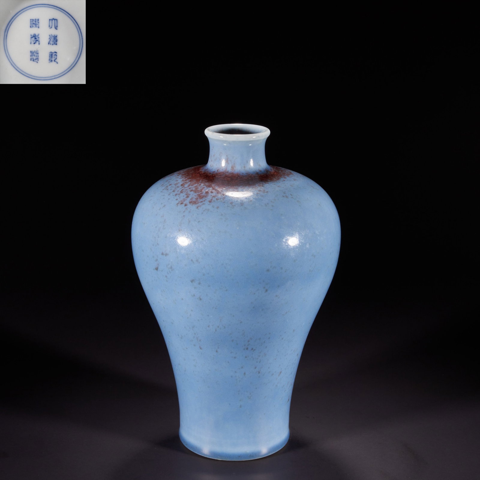 Qing Dynasty, sky blue glaze plum bottle (1 of 9)