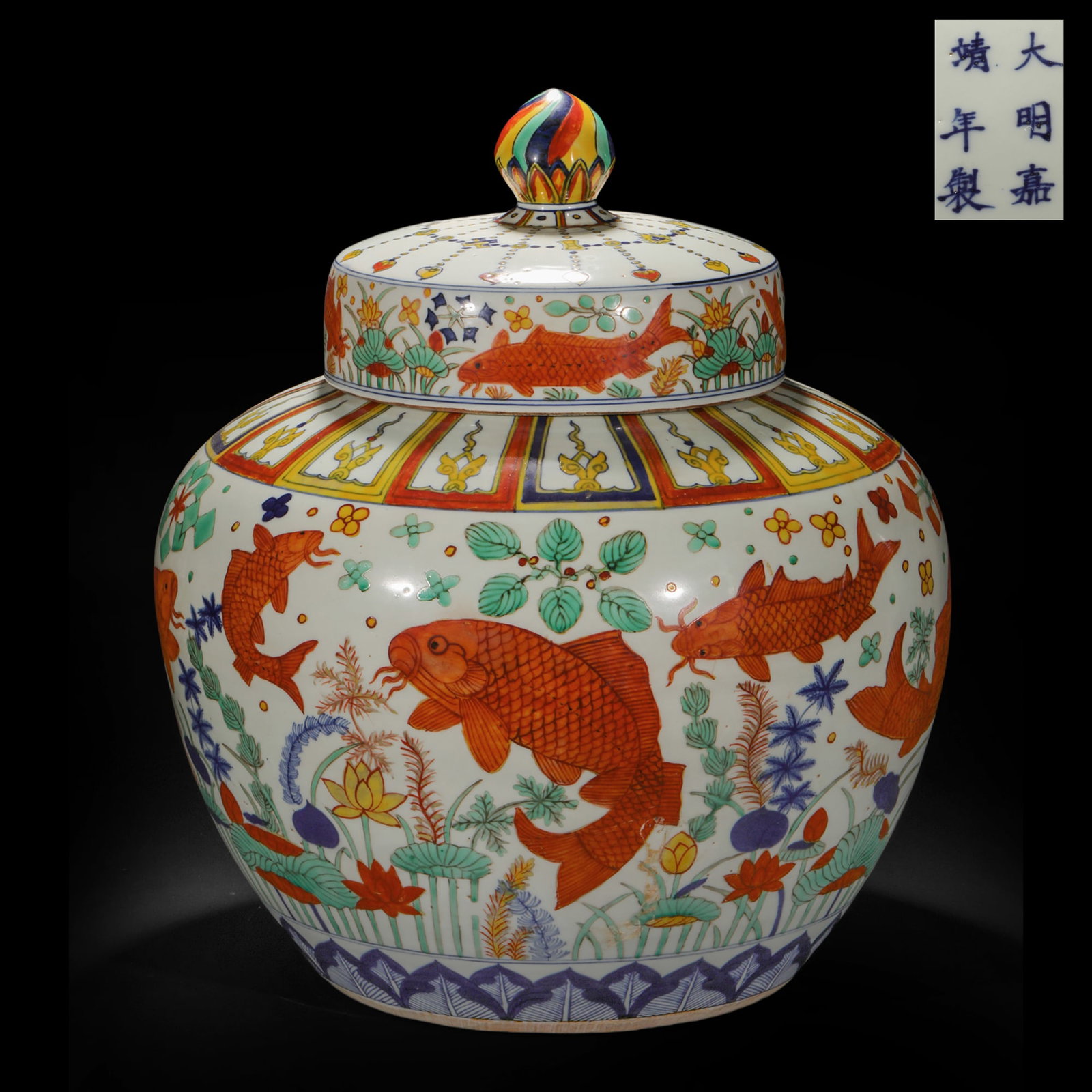Ming Dynasty colorful fish grass jar: H46cm W38cm