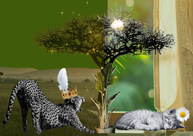 All One Heart By Sandra Pamela Palmer Digital collage 2025: SHIPS FROM United Kingdom This piece is from a series comparing domestic cats with wild cats. Despite their differences, they share one beating heart and a love of roaming. It makes me wonder: aren’