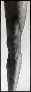 Balthasar Burkhard (1944 Bern 2010) Das Knie: Balthasar Burkhard (1944 Bern 2010) Das Knie 1983 Photography on baryta paper in original iron frame and on colour canvas 270x91 cm, photography; 150.3x50.3 cm, colour canvas Condition The colour canv