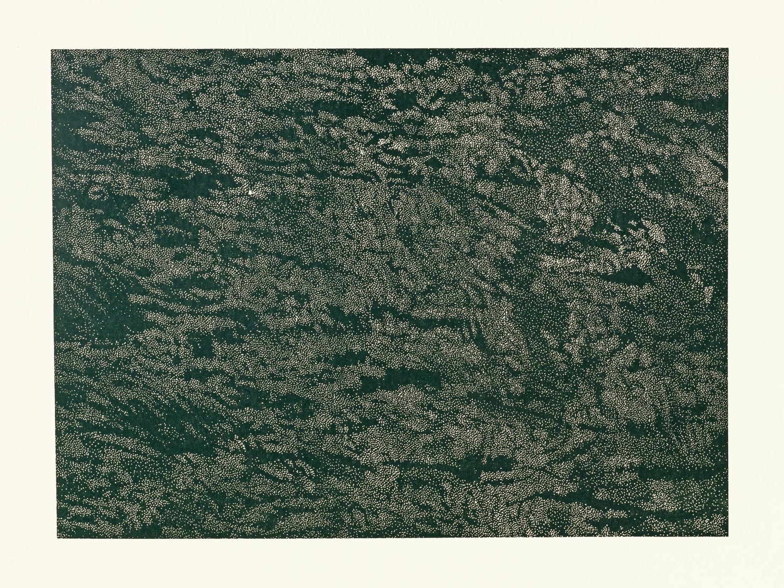 Franz Gertsch (Mörigen 1930 - 2022 Riggisberg) Schwarzwasser II (Detail 1): Franz Gertsch (Mörigen 1930 - 2022 Riggisberg) Schwarzwasser II (Detail 1) 1994 Colour woodcut on Kumohadamashi Japan paper by Heizaburo Iwano 67x93 cm, printing block; circa 105x130 cm, sheet si