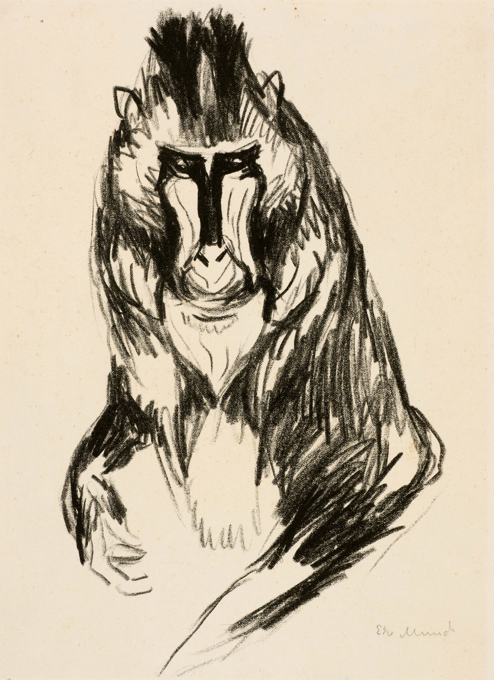 Edvard Munch (Løten 1863 - 1944 Oslo) Mandrill - Gorilla: Edvard Munch (Løten 1863 - 1944 Oslo) Mandrill - Gorilla 1908-1909 Lithograph on heavy wove paper 27.2x23.8 cm, sheet size Signature Lower right signed by the artist in pencil 'Edv Munch' Catalog