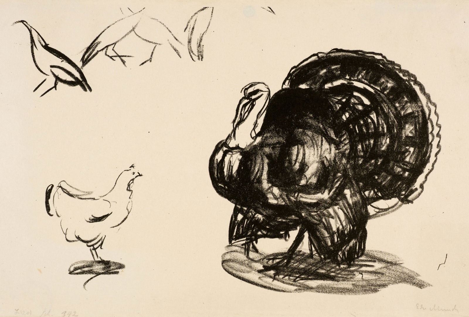 Edvard Munch (Løten 1863 - 1944 Oslo) Truthahn, Hühner und Pfauen - Turkey, Hens and: Edvard Munch (Løten 1863 - 1944 Oslo) Truthahn, Hühner und Pfauen - Turkey, Hens and Peacocks 1913 Lithograph on cream wove paper 26x40.5 cm, sheet size Signature Lower right signed by the a