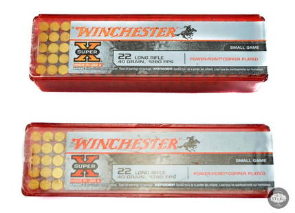 100 Round Box - Winchester Super X Power-Point Copper Plated Hollow Point - .22 LR - X22LRPP1: This lot contains 2 Boxes (200 rounds) of Winchester Super X Power-Point 40 Grain Copper Plated Hollow Point 22 Long Rifle Ammo 100 Round Box - Brass Casing - X22LRPP1 *ATTENTION* Due to an