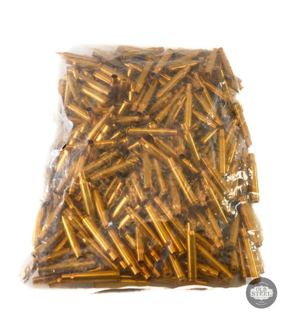 250 Unprimed Brass .30-06 Springfield (1 of 1)