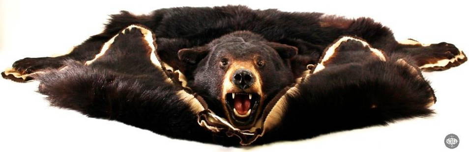 Black Bearskin Rug with Textile Lining  Luxurious, Durable, Rustic Home Decor: This stunning black bearskin rug features a rich, natural hide with a soft textile lining on the underside, ensuring both durability and comfort. Its bold, luxurious appearance makes it a perfect addi