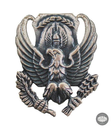 Usaf Rotc Civil Air Patrol Pins