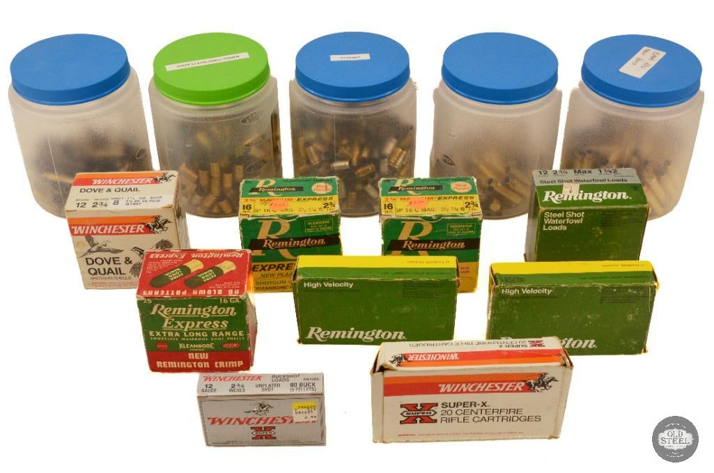 Eclectic Assortment of Ammo and Brass (1 of 1)