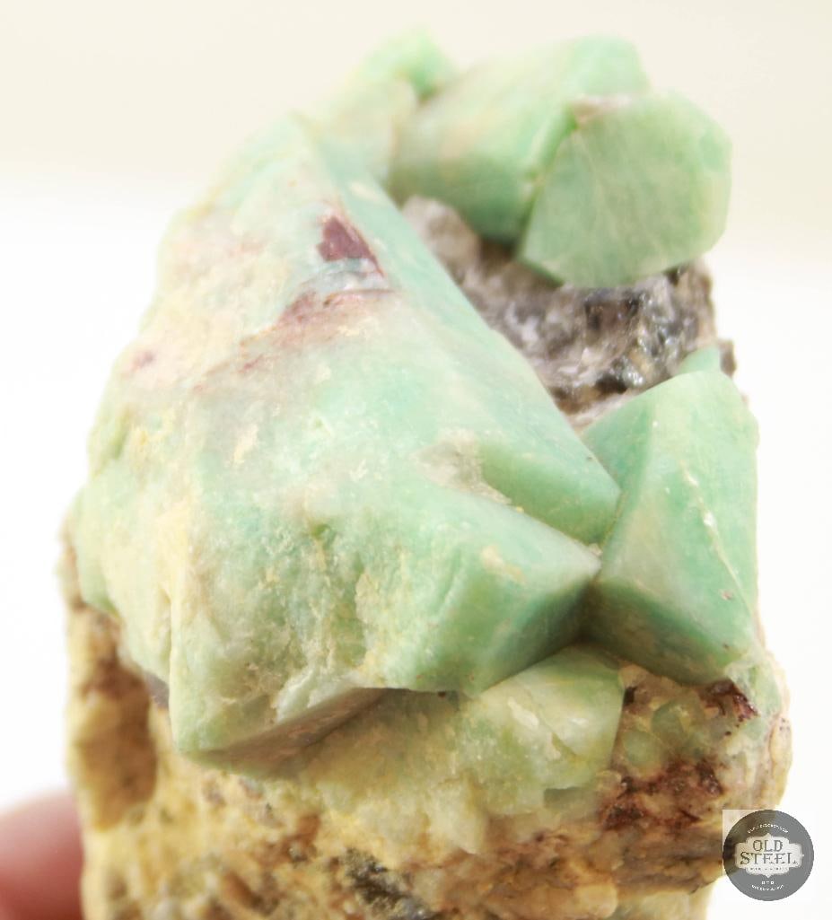 Lot of Misc. Archeological Artifacts (Stones, Arrowheads, Fossils, and Shark Teeth) - 3