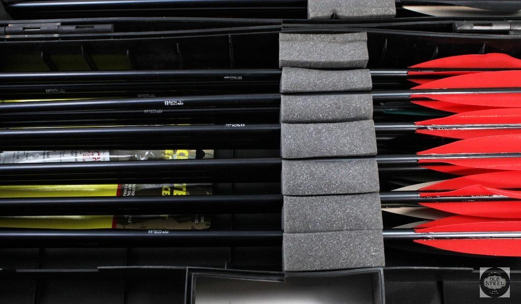 Case Guard - Arrow Plus Case - Hard Plastic Case - 36 Inches Long - 3