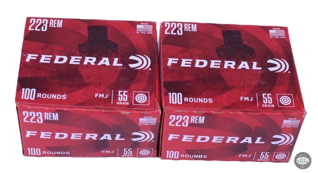 200 rounds of Federal .223 Remington, 55 grain: One lot of 200 rounds of Federal .223 Remington, 55 grain THIS ITEM IS AS PICTURED WITH NO FURTHER ATTACHMENTS. ALL SALES ARE FINAL. PLEASE REFER TO T
