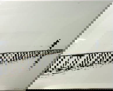 THERIAULT, Brigitte (1974): Flaminco Tirage photographique signé en bas à droite. Édition limitée, tirage 2/4. Signé, titré, numéroté et situé en bas à droite. 48 po x 60 po
