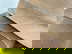item-210277815=12