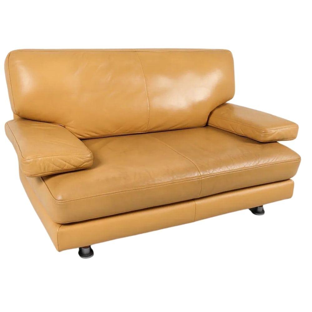 LIGNE ROSET LEATHER SOFA (1 of 16)