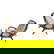 item-210277950=1