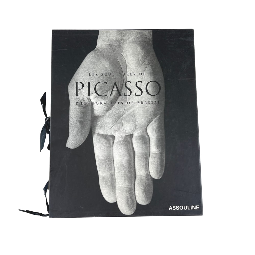 LES SCULPTURES DE PICASSO BOOK (1 of 6)