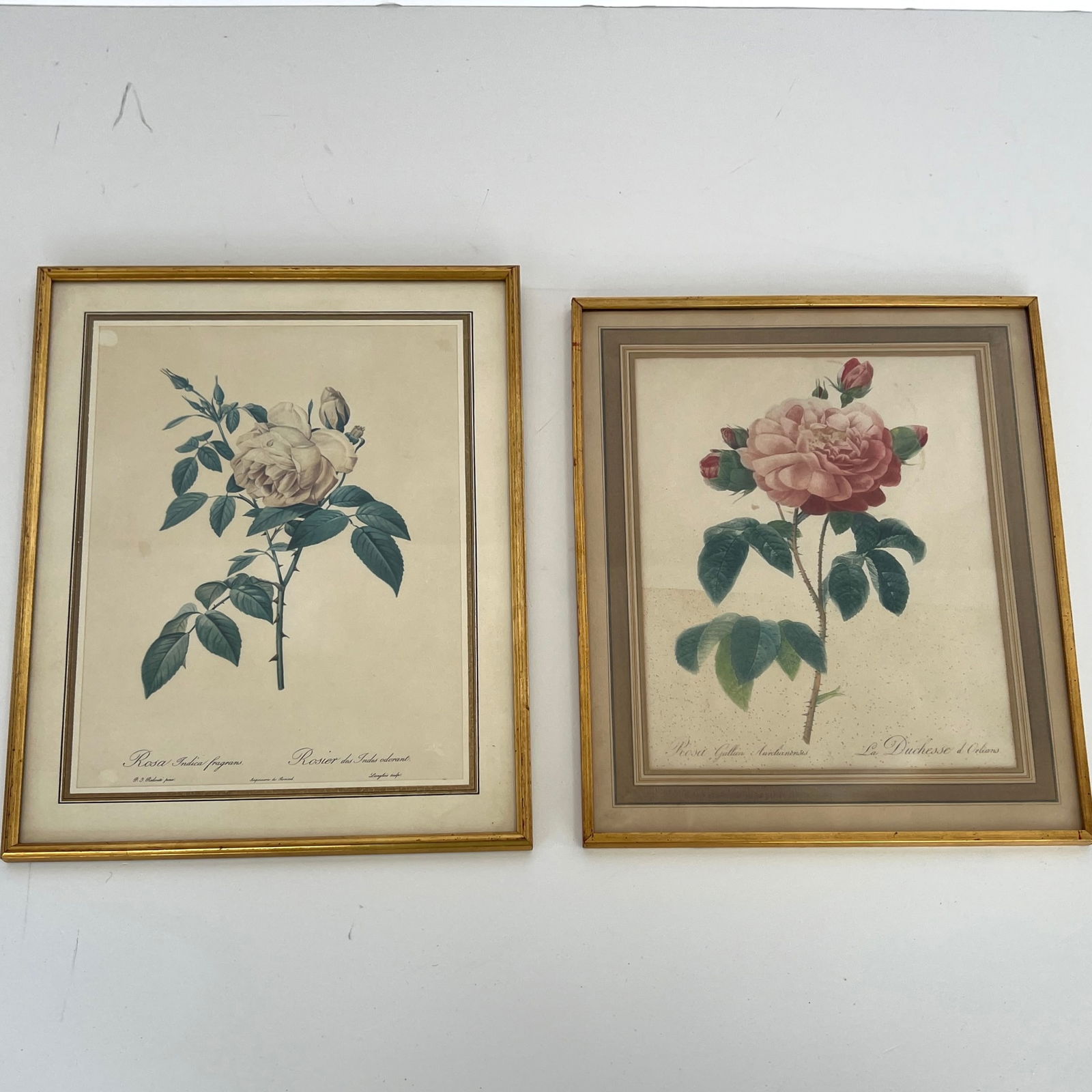 LOT 2 PIERRE-JOSEPH REDOUTE ROSES LITHOGRAPHS (1 of 9)