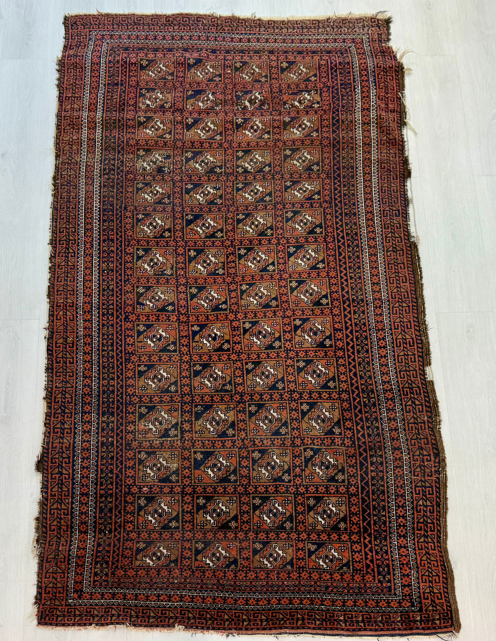 FINE AFGHAN BALOUCH WOOL RUG (1 of 7)