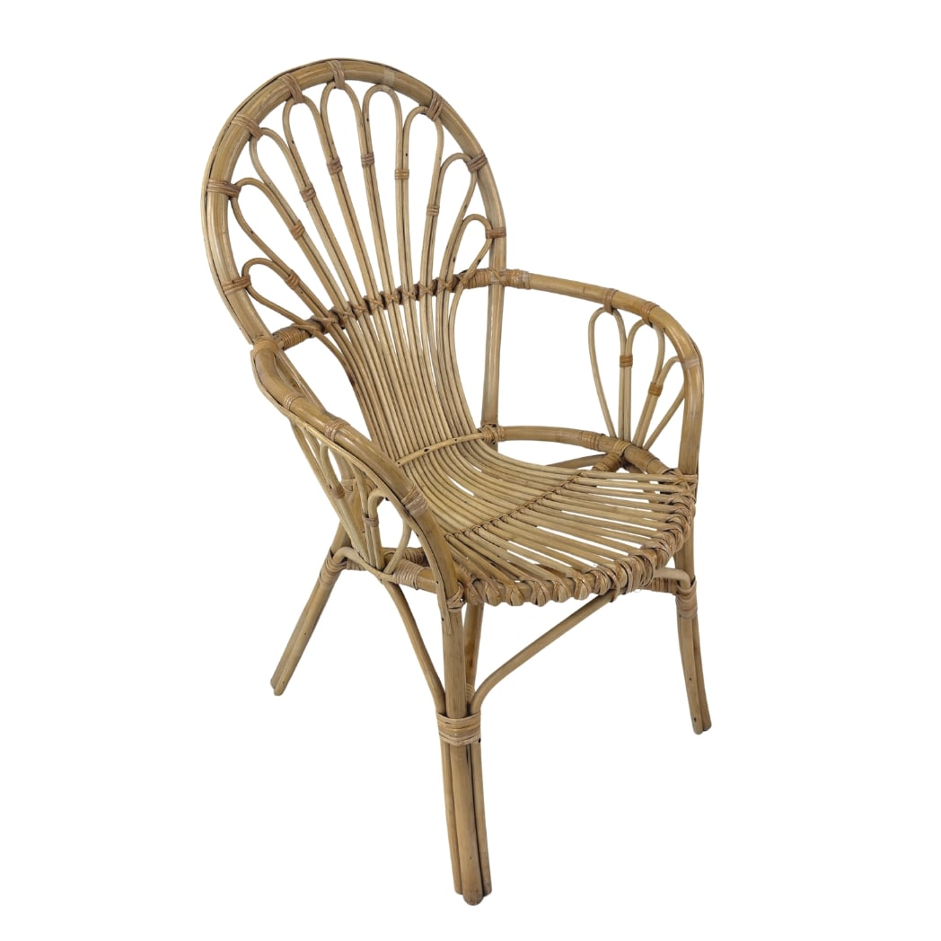 DUTCH BAMBOO AND RATTAN ARMCHAIR (1 of 10)
