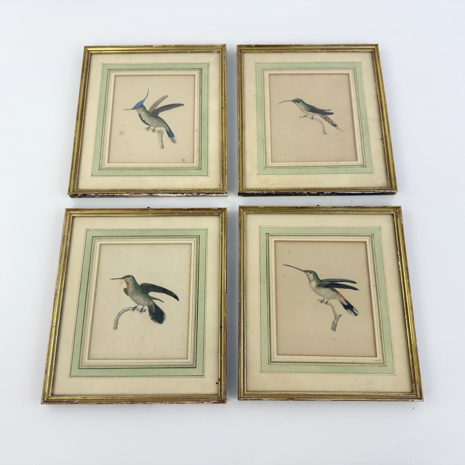(4) VINTAGE ARTHUS BERTRAND PRINTS: Dimensions: H 7.3” x W 6”. Set of 4 Vintage hummingbird prints by Arthus Bertrand. Framed.