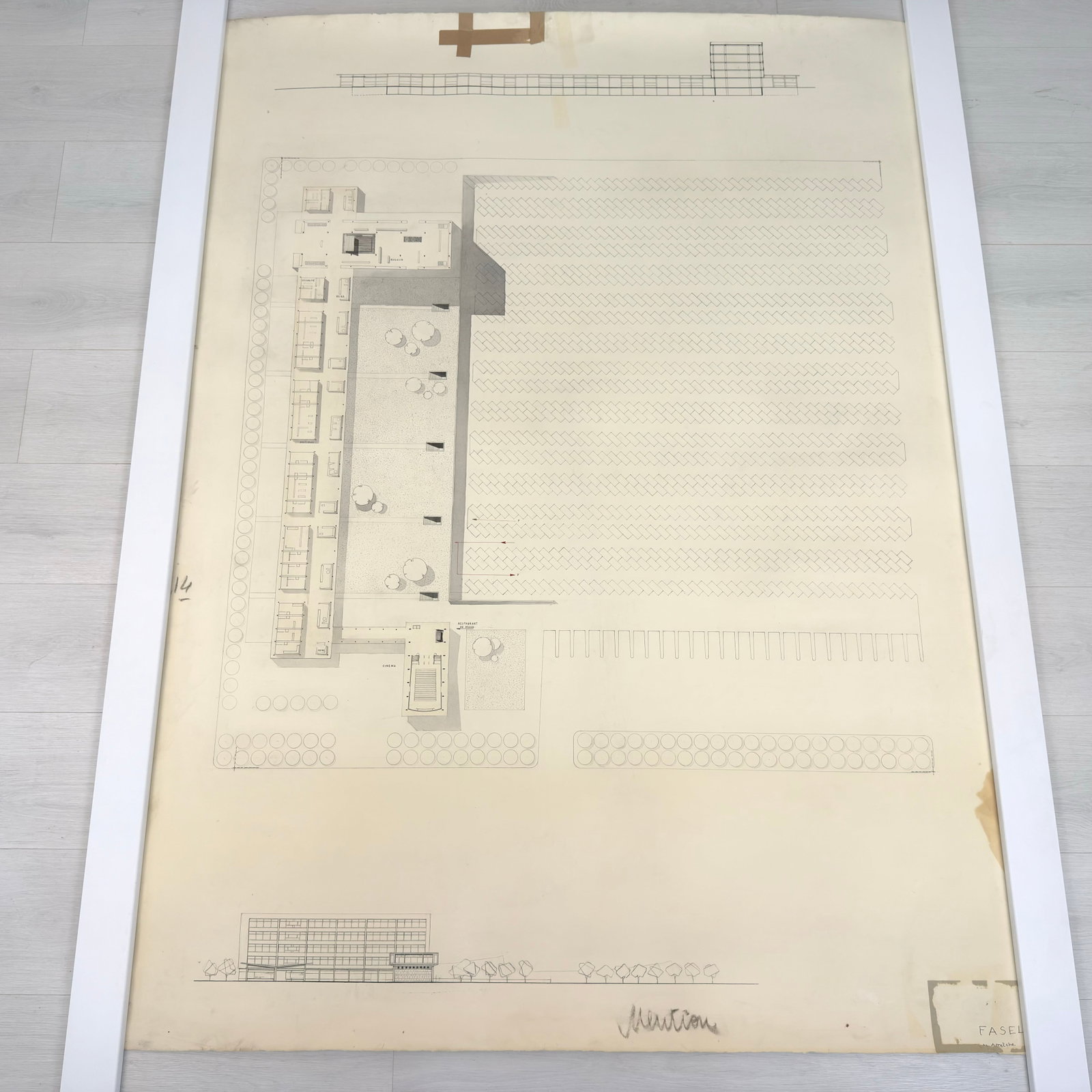 VINTAGE ARCHITECTURAL DESIGN: Dimensions: H 64.5” x W 46.5”. Architectural print of a site plan by G. Fasel. (49)