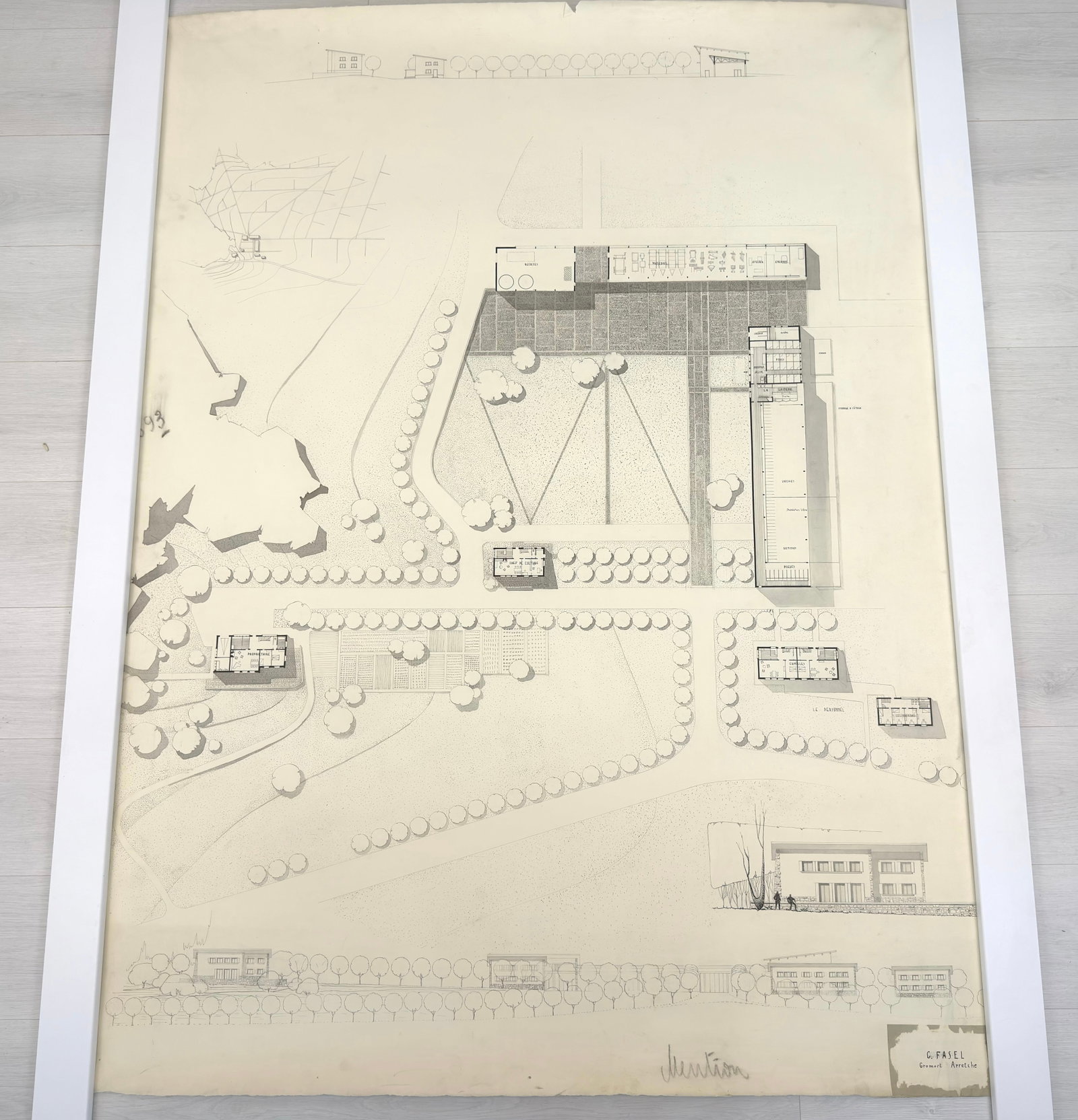 VINTAGE ARCHITECTURAL DESIGN: Dimensions: H 64.5” x W 46.7”. Architectural print of a site plan by G. Fasel. (51)