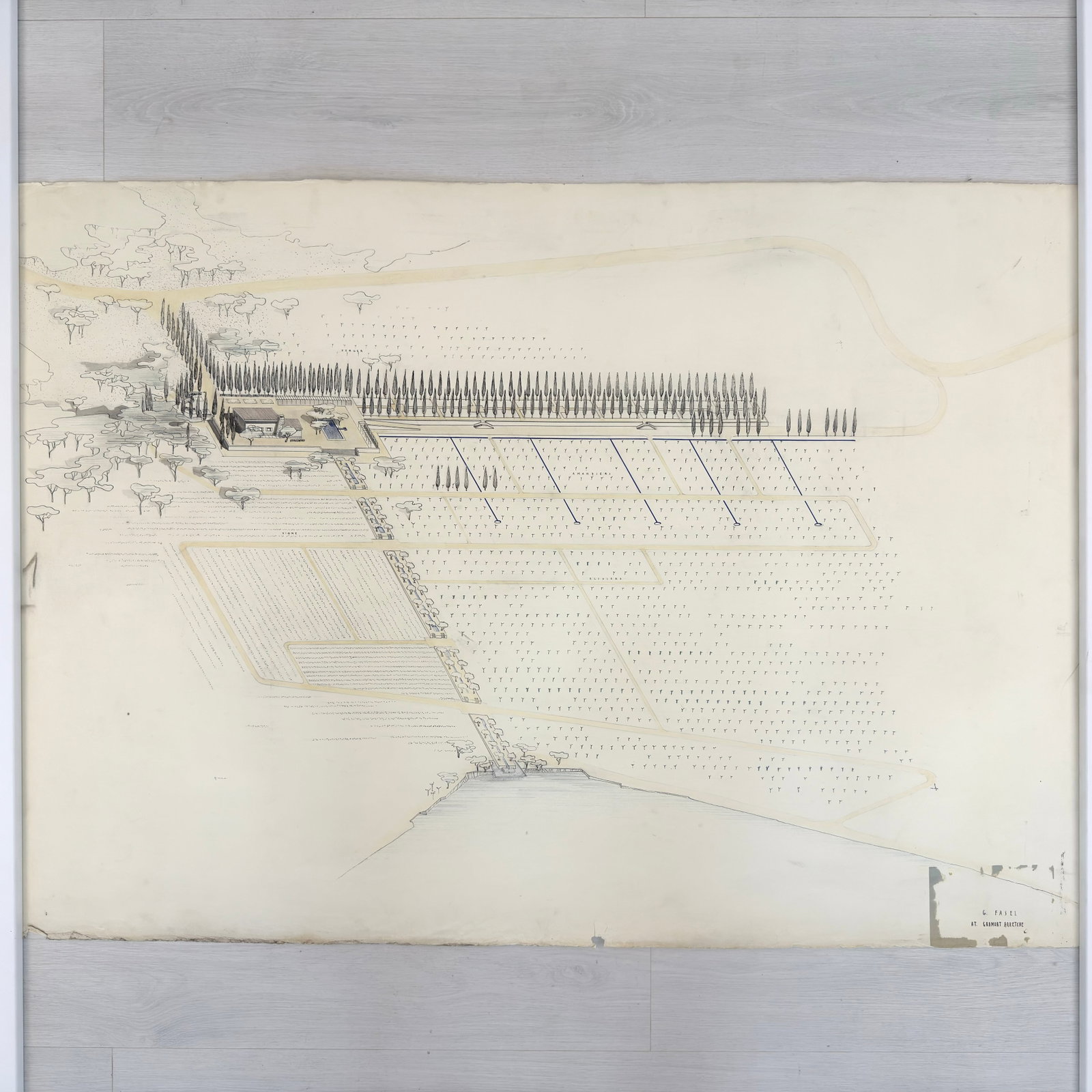 VINTAGE ARCHITECTURAL DESIGN: Dimensions: H 33” x W 46”. Architectural print of a garden by G. Fasel. (5)