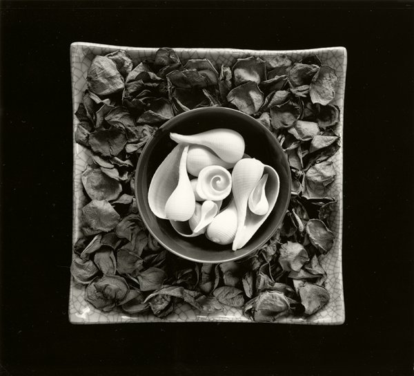 Paul Caponigro