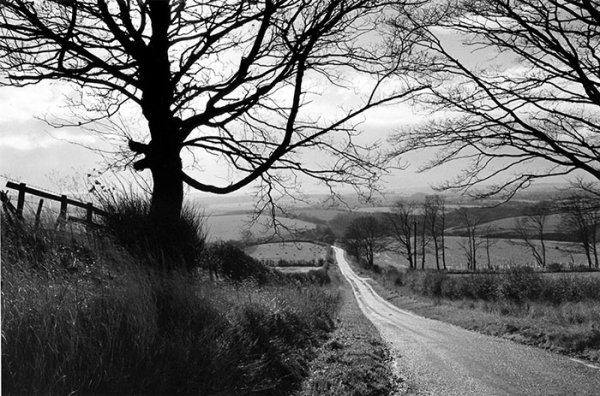 George Tice