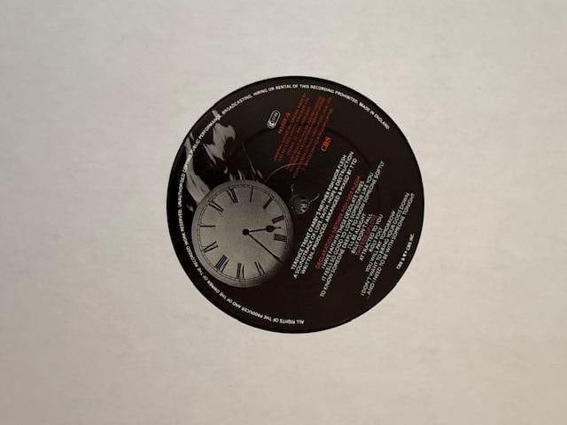 Terrence Trent D'Arby Signed "Neither Fish Nor Flesh" LP Album (Third Party Guaranteed) - 5