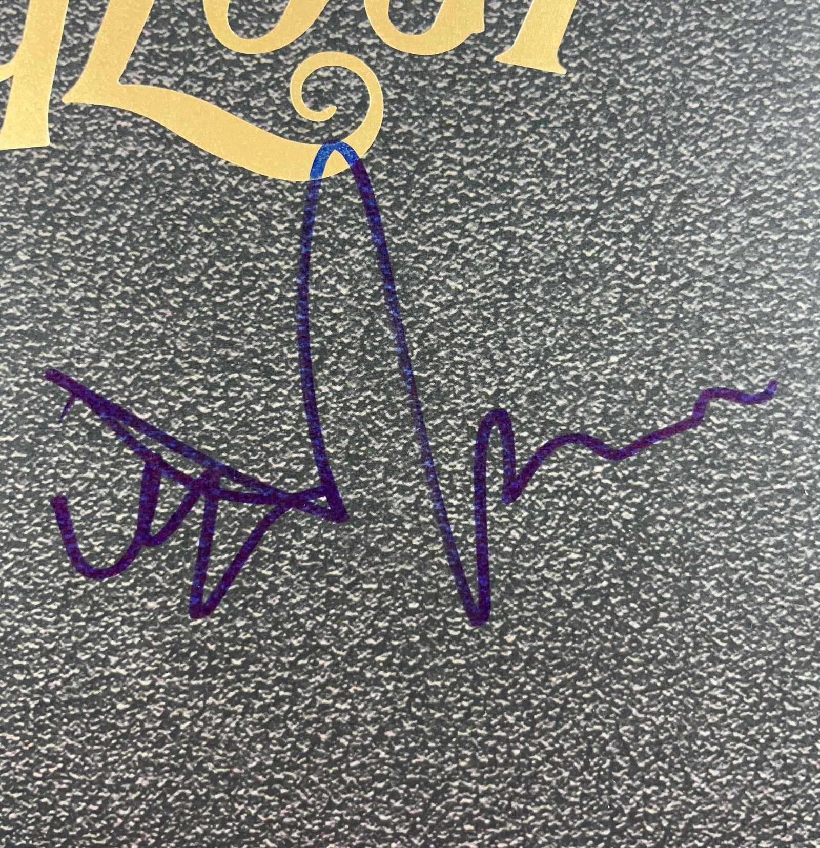 Pearl Jam Group Signed "Vitalogy" Album (3 Sigs) (Beckett Authentication) - 3