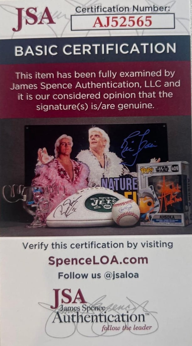 Iggy Pop In-Person Signed Fender-Style Guitar with Live Performance Image (JSA Authentication) - 5
