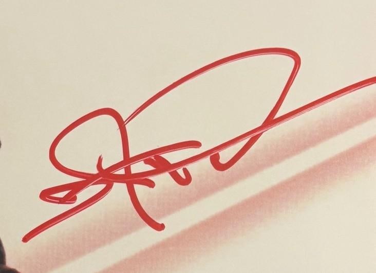 Star Wars: Ray Park Signed 16" x 20" Photo as Darth Maul (Beckett Authentication) - 2