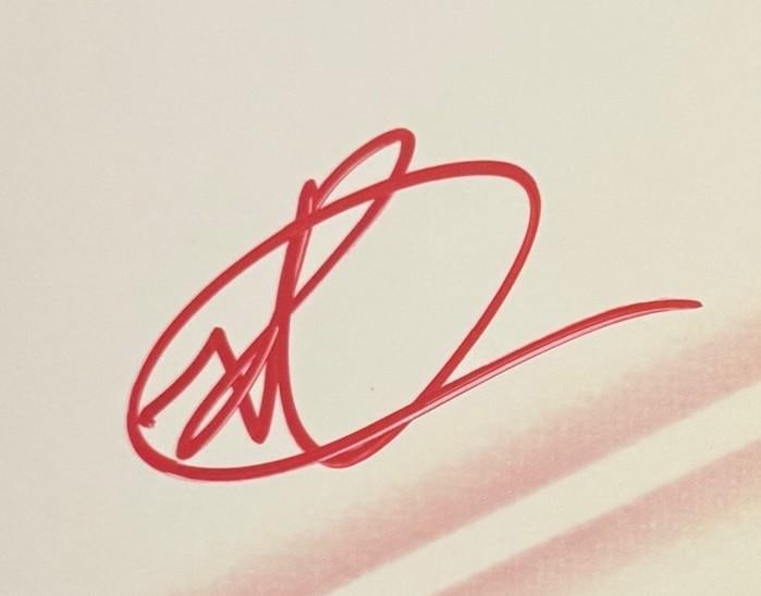 Star Wars: Ray Park Signed 16" x 20" Photo as Darth Maul (Beckett Authentication) - 3