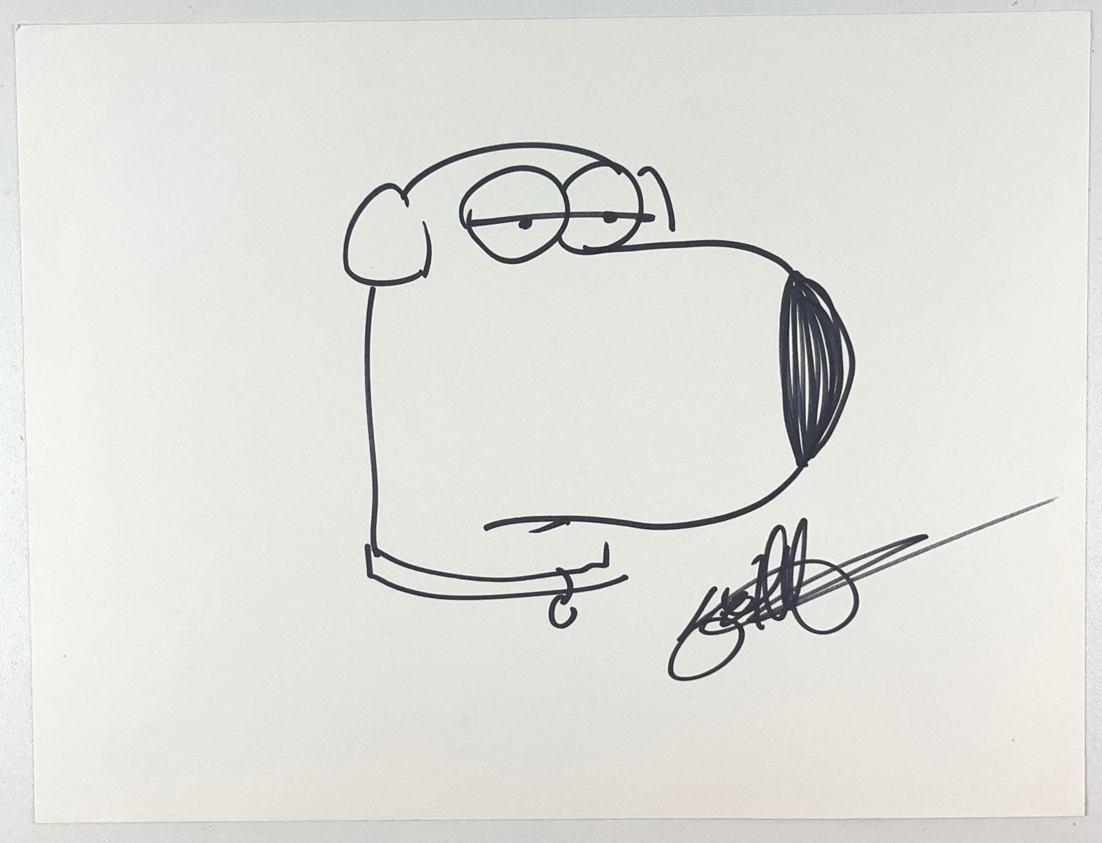 Family Guy: Seth McFarlane Signed 9" x 12" Brian Griffin Drawing (Beckett Authentication): White 9" x 12" card stock drawing of the character Brian Griffin from the television show "Family Guy" signed in black felt tip marker by cartoonist Seth McFarlane. In fine condition. Authenticated by