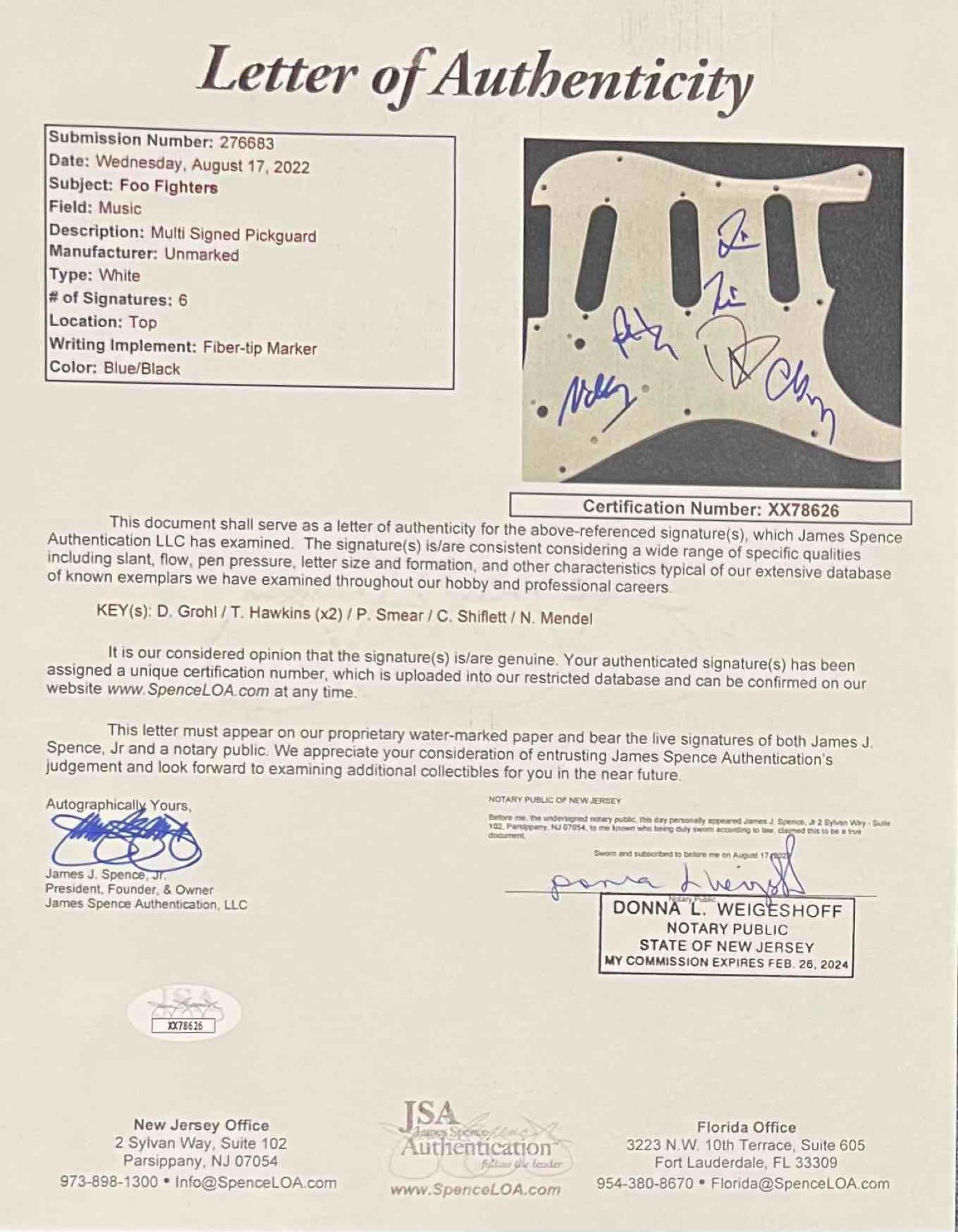 Foo Fighters Signed Custom Fender-Style Guitar w/ “The Colour and the Shape” Artwork (5  - 4