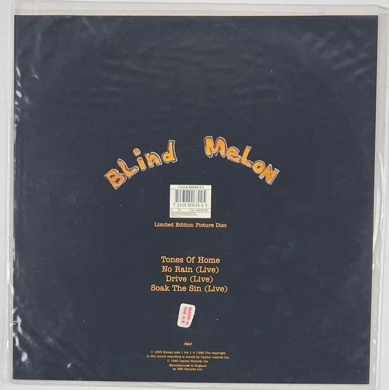 Blind Melon Group Signed Self-Titled Debut Picture Disc (5 Sigs) (Beckett/BAS) - 3
