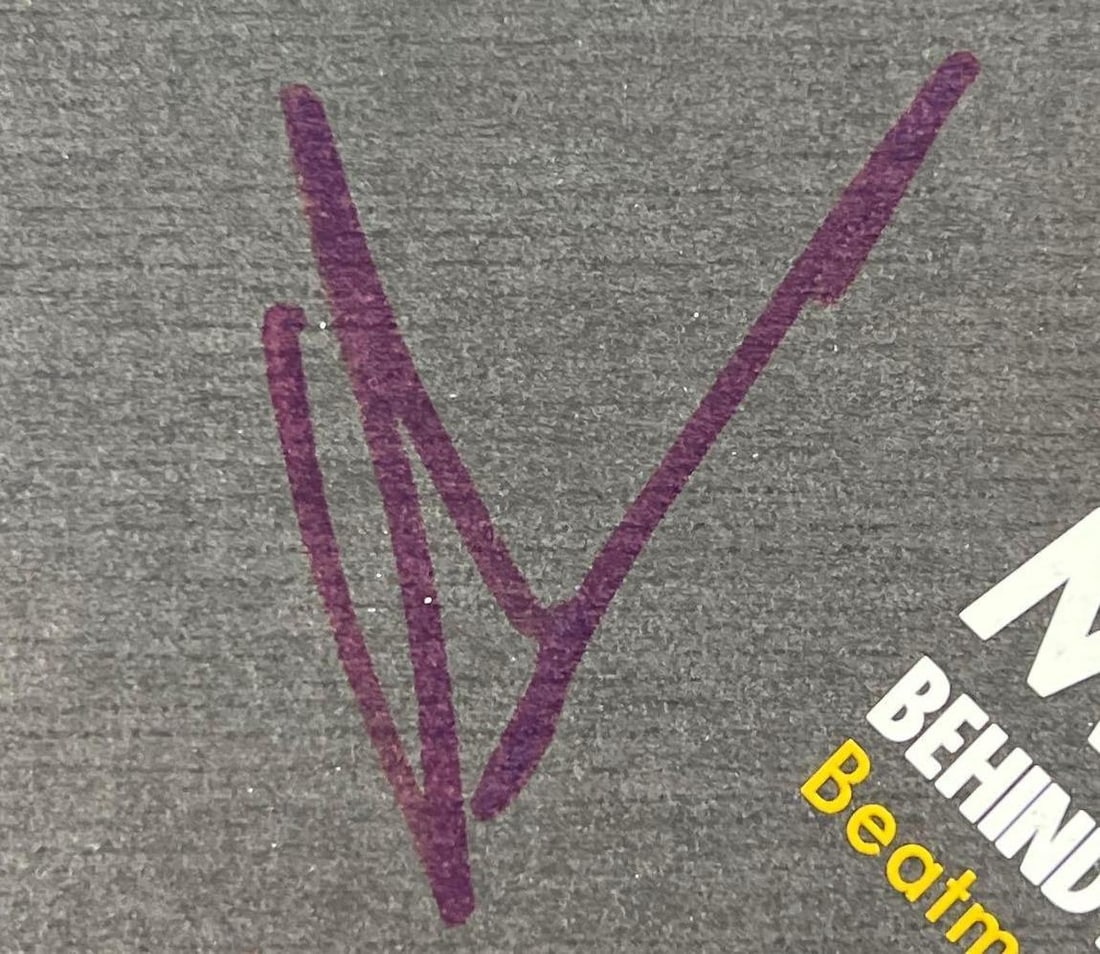 Depeche Mode Group Singed "BONG15" Album (4 Sigs) - 4