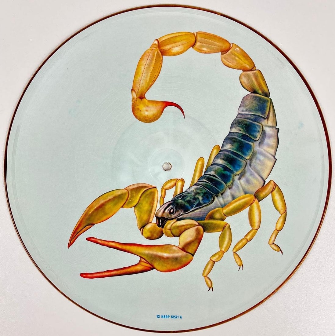Scorpions Fully Group Signed "Big City Nights" Picture Disc (5 Sigs) (Beckett Authentication) - 4