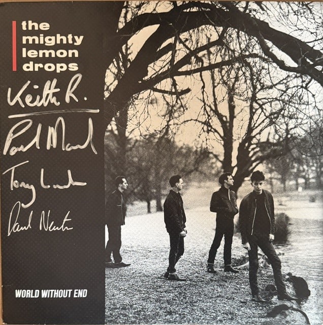 The Mighty Lemon Drops Fully Group Signed "World Without End" LP Album (4 Sigs) (Third Party) (1 of 4)