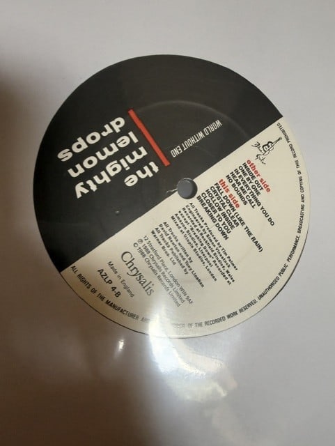 The Mighty Lemon Drops Fully Group Signed "World Without End" LP Album (4 Sigs) (Third Party) - 4